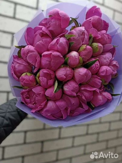 Пионы опт. Москва. Доставка