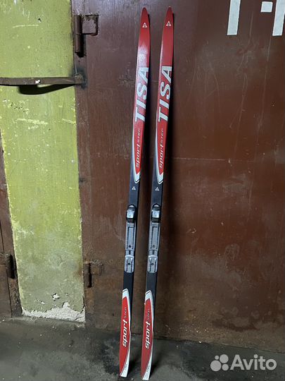 Беговые лыжи tisa, nordway, karhu