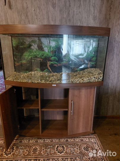 Аквариум с тумбой juwel 260 литров