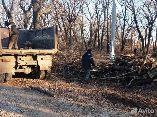 Спил, распил, обрезка, вывоз деревьев Корчевание