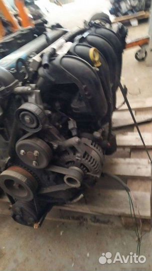 Двигатель Ford Focus 2 qqdb