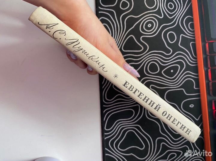 Пушкин евгений онегин