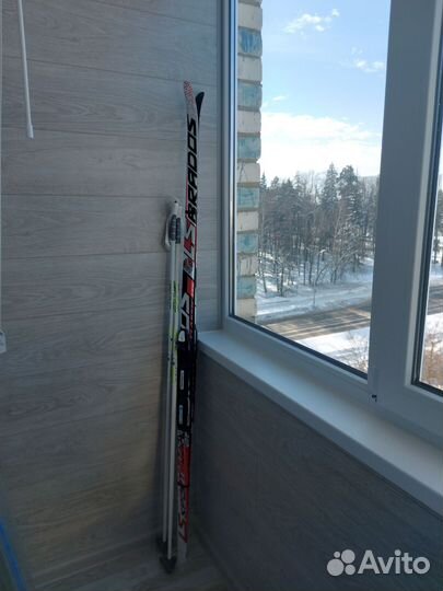 Беговые лыжи