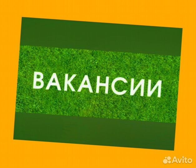 Оператор на производство Аванс еженедельно Без опыта