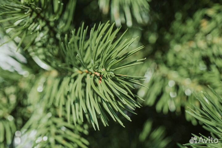 Елка искусственная литая Уральская