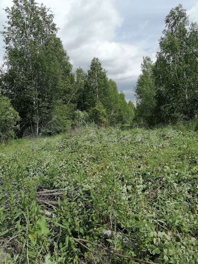 Участок 16,6 сот. (ИЖС)