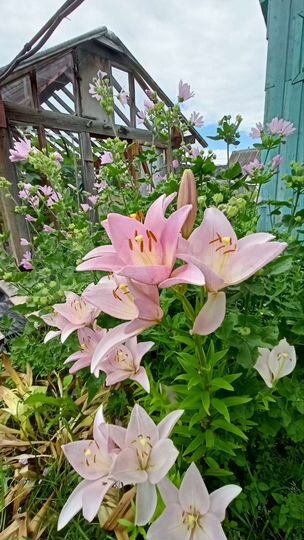 Дом 47 м² на участке 5,4 сот.