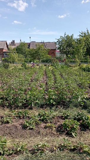 3-к. квартира, 49 м², 1/1 эт.