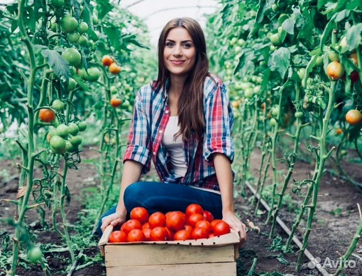 Грузчик в колбасный цех от 15 смен Вахтой Белгород