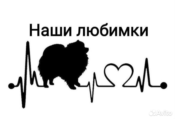 Стрижка собак