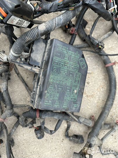 Проводка подкапотная Hyundai Accent