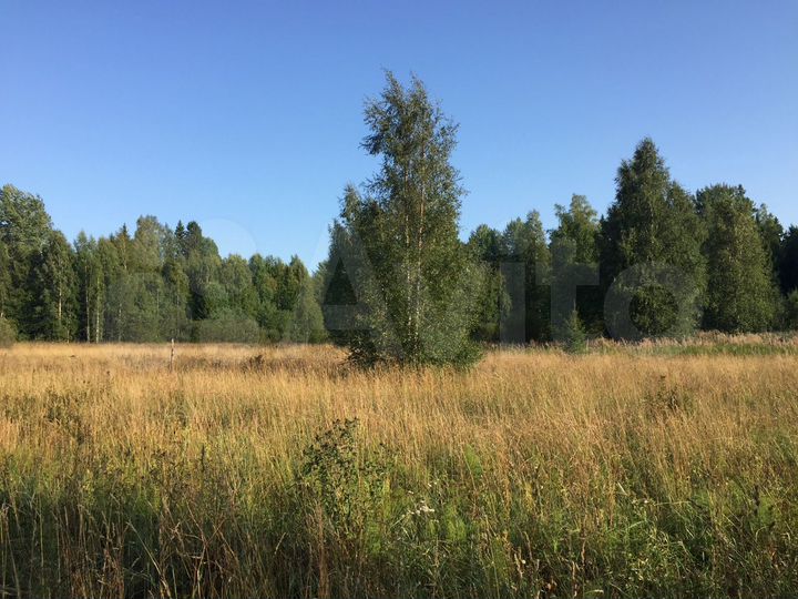 Участок 7 сот. (СНТ, ДНП)