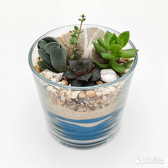 Флорариум Мини