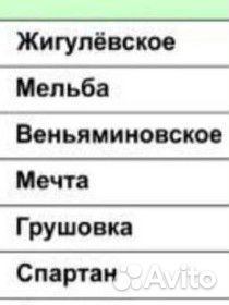 Саженцы плодовых деревьев