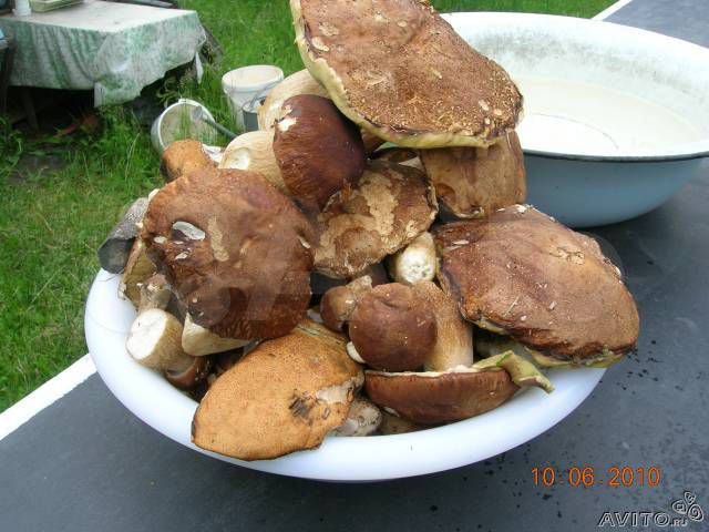 Участок 5 сот. (СНТ, ДНП)