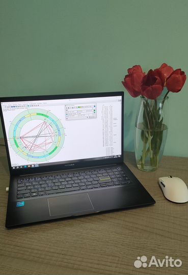 Астролог. Натальная карта. Годовой гороскоп