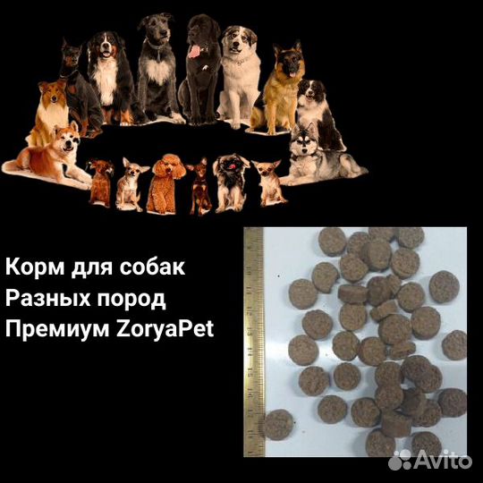 Корм для собак Премиум поселок Дорохово город Руза