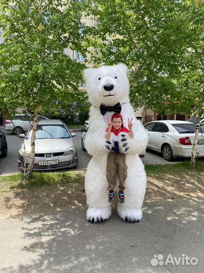 Поздравление от белого медведя