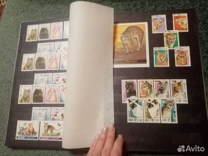 Альбом с марками флора и фауна