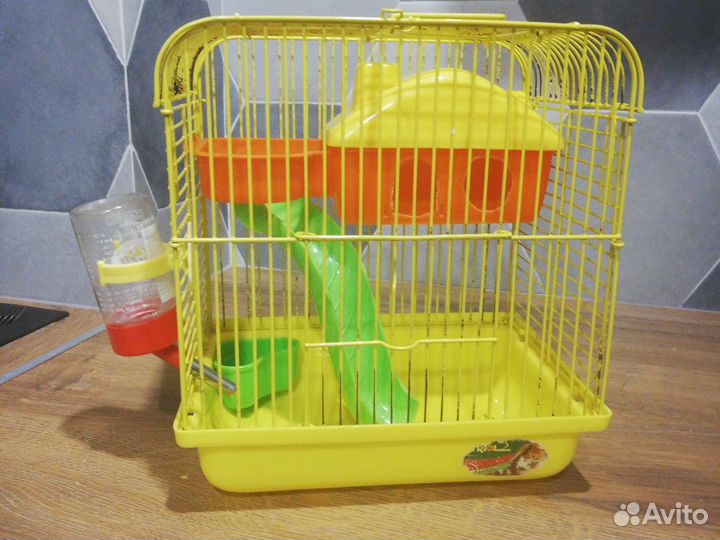 Клетка для джунгарика
