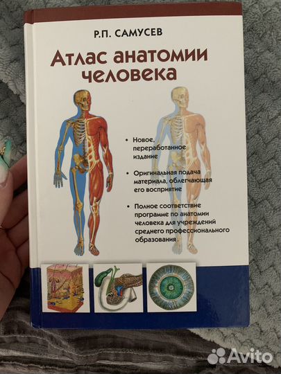 Атлас анатомии человека