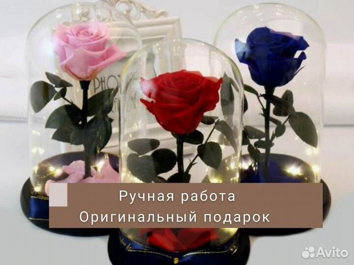 Розы в колбе на выбор