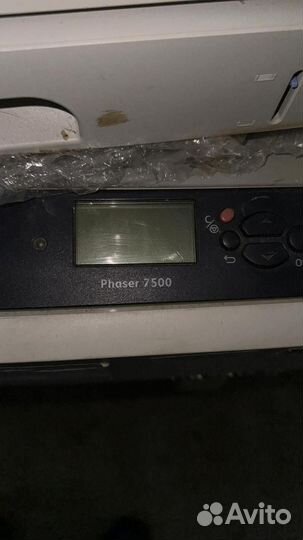 Принтер Xerox Phaser 7500