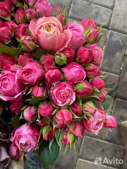 Пионы цветы букеты