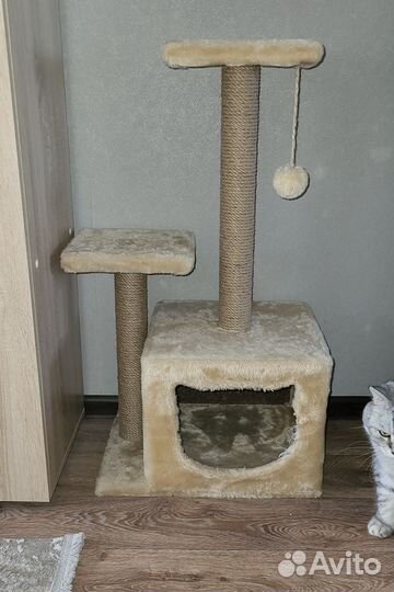 Домик когтеточка для кошек