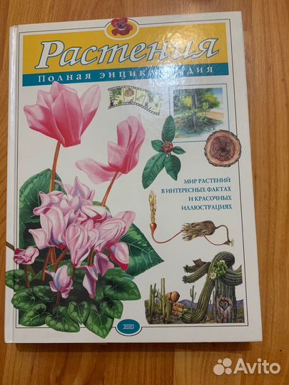 Книжки детские