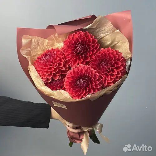 Букет 1 сентября с бесплатной доставкой георгины