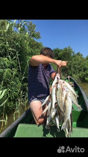 Рыбалка и Охота в Астрахани