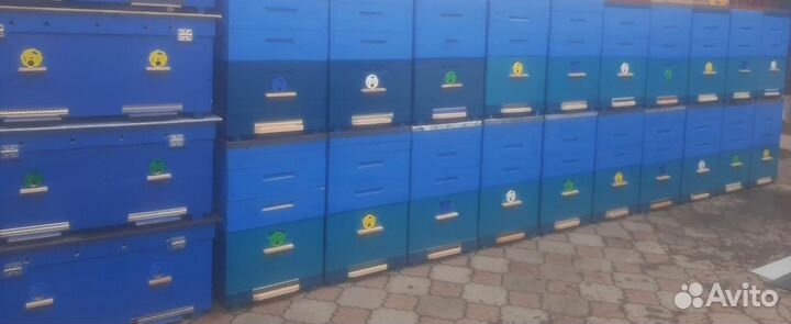 Ульи для пчел