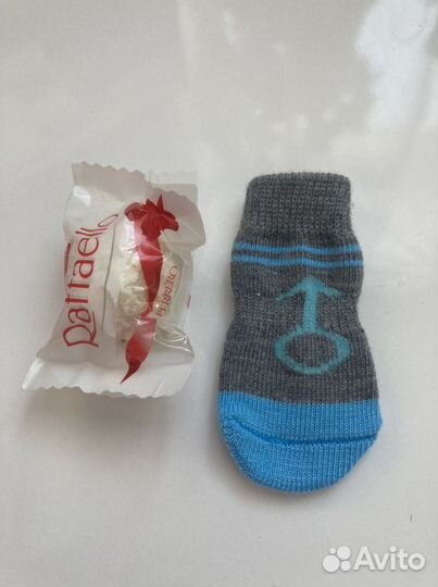 Носки для собак