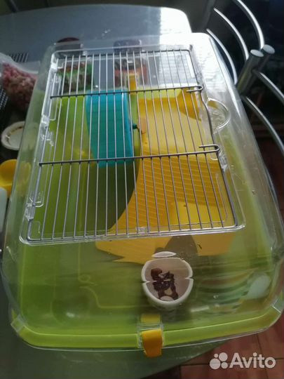 Клетка для грызунов