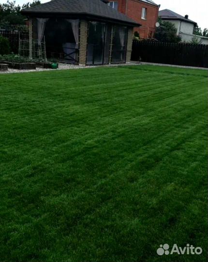 Газон. Рулонный газон