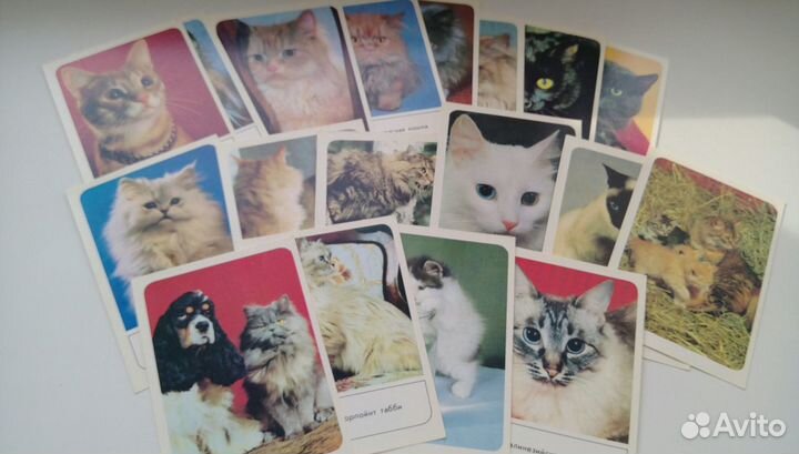 Набор открыток б/у