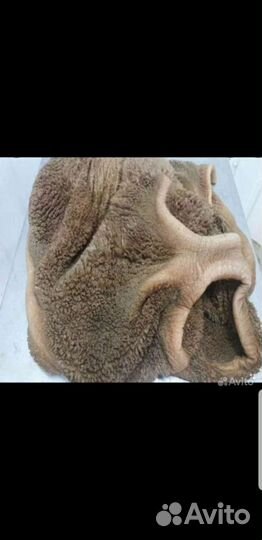 Рубец говяжий