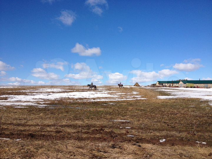 Участок 1,3 га (ИЖС)