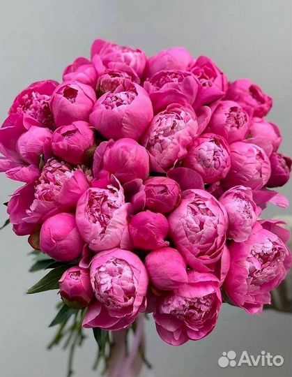 Пионы Букет пионов