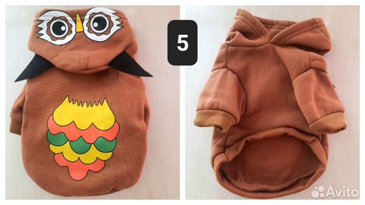 Одежда для собак