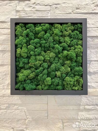 Панно со стабилизированным мхом 30 на 30 см