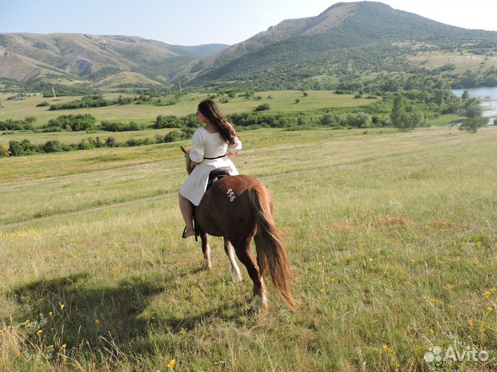 Конные прогулки. Экскурсии на лошадях