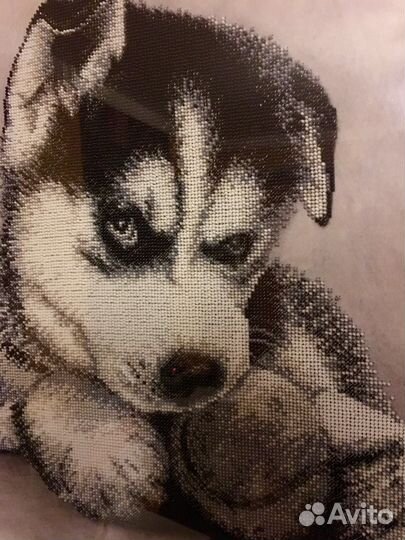 Вышивка бисером «Щенок хаски»