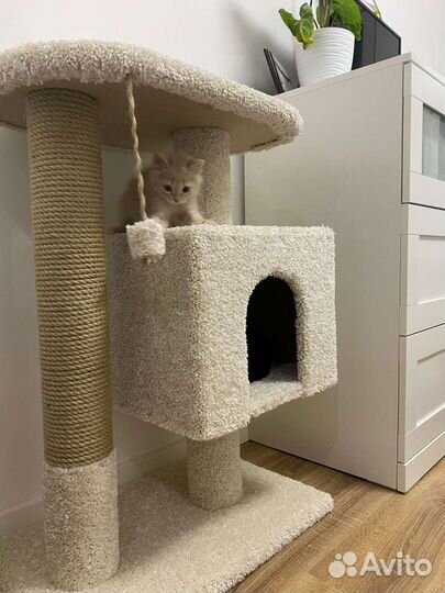 Домик для кошки/когтеточка/когтедралка
