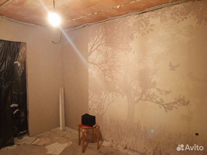 Малярные и штукатуркые работы от 50 m2