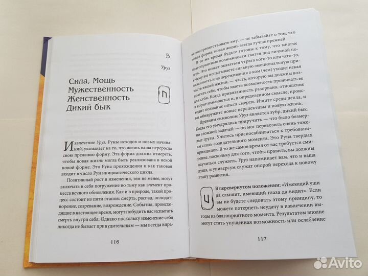 Книга Рун Ральф Блюм