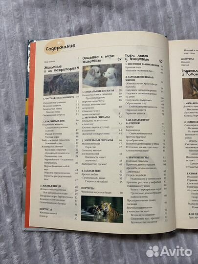 Книга Энциклопедия животных