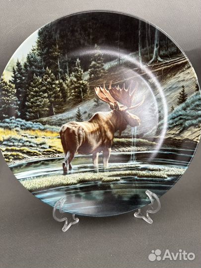 Тарелки настенные Германия