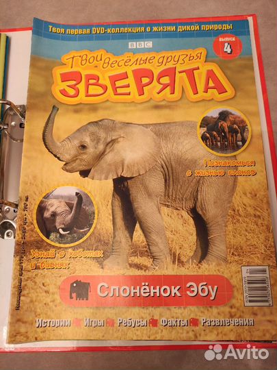 Твои веселые друзья зверята